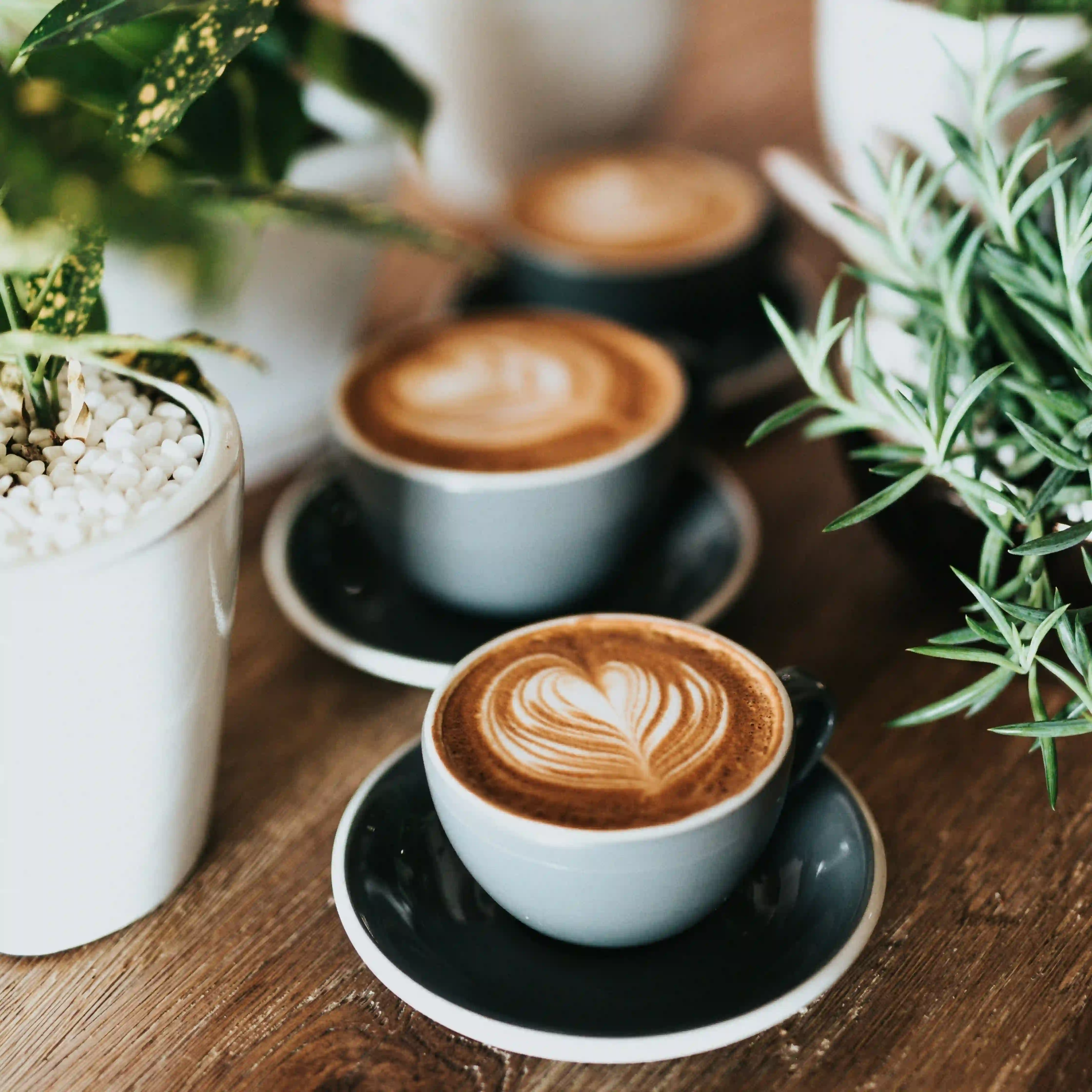 Coffee Beans